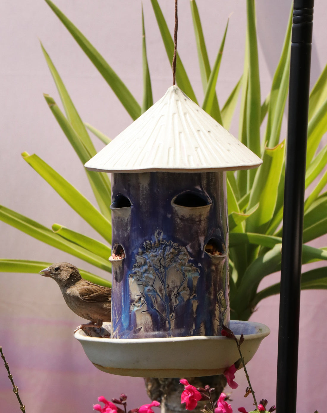 How to Attract More Birds to Your Backyard