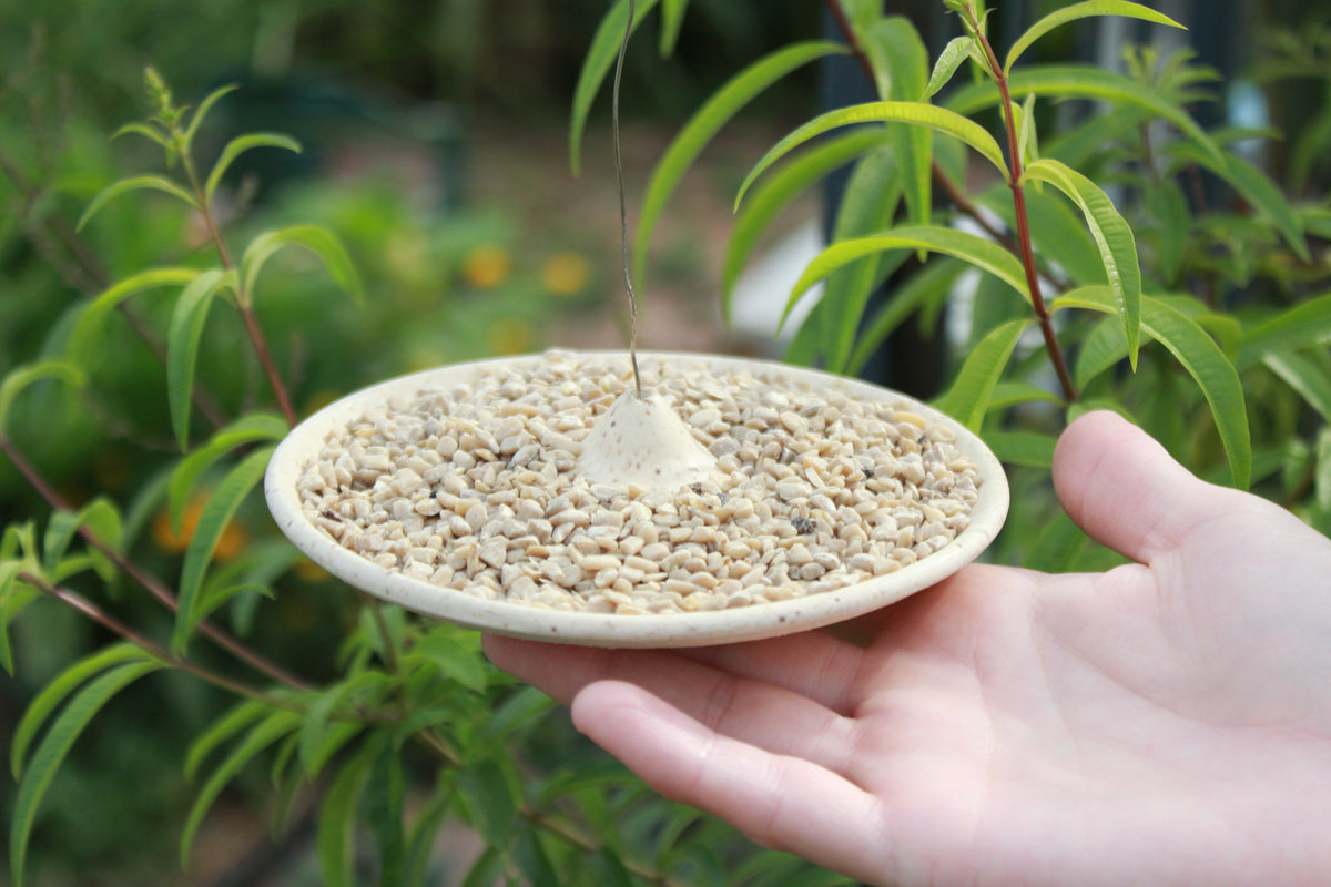Birdfeeders by Design: Choosing the Right Size and Style for Every Bird