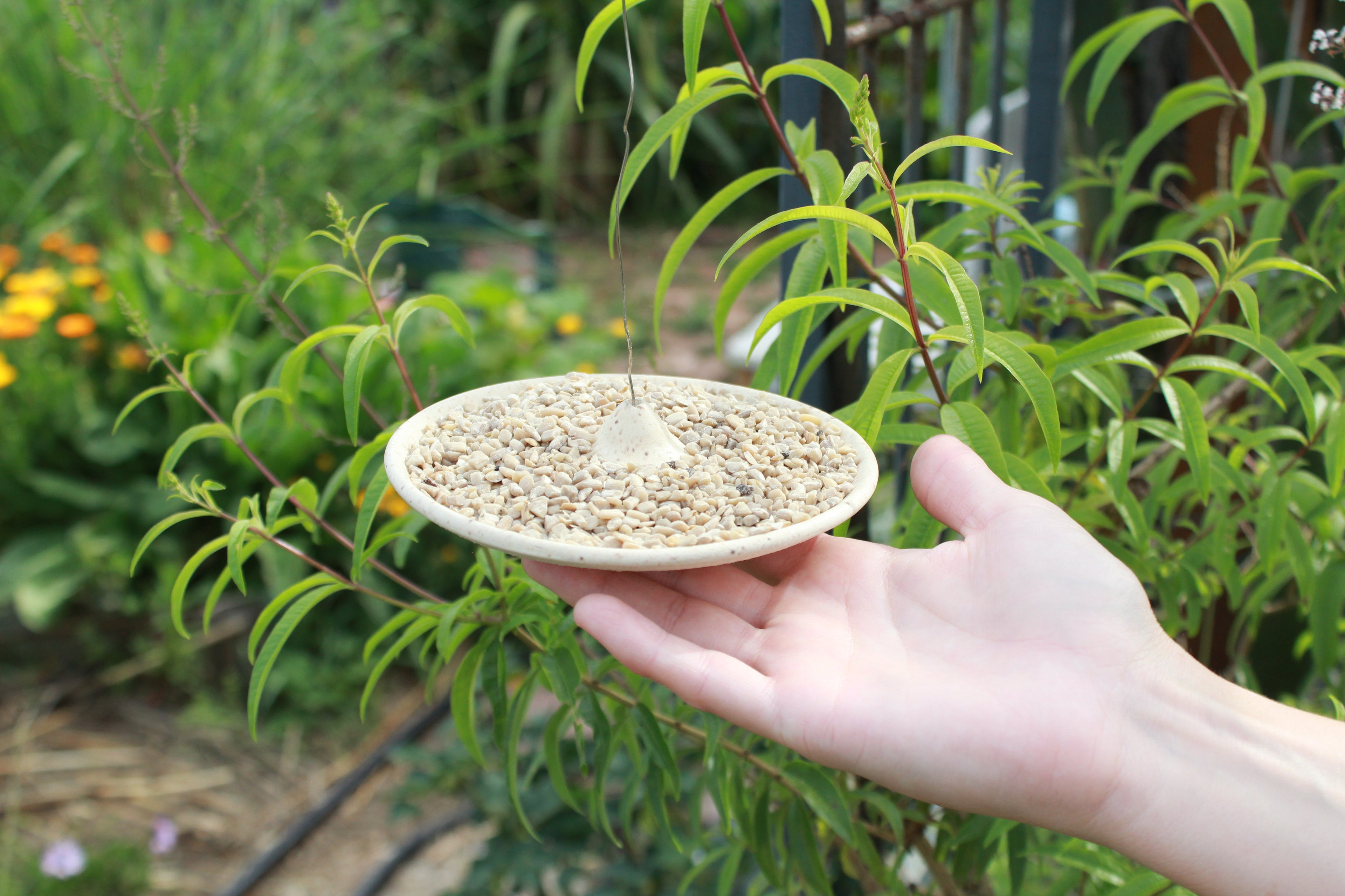 Handcrafted Ceramic Hanging Bird Feeder Plate
