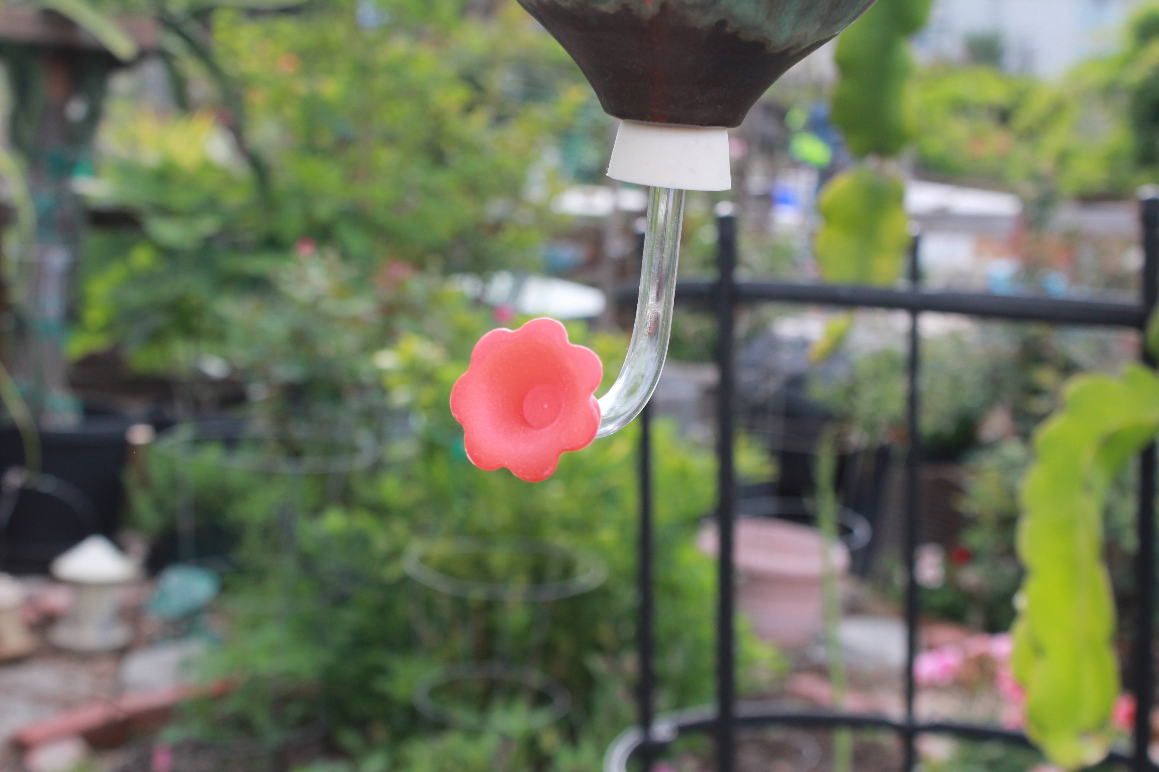 Ceramic Hummingbird Feeder - Blue River